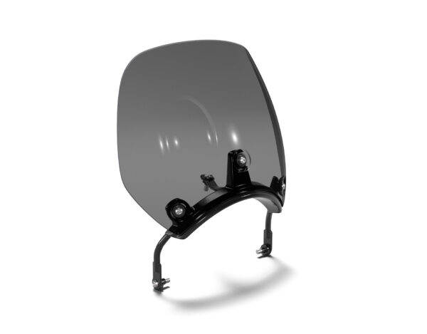 Tinted Flyscreen