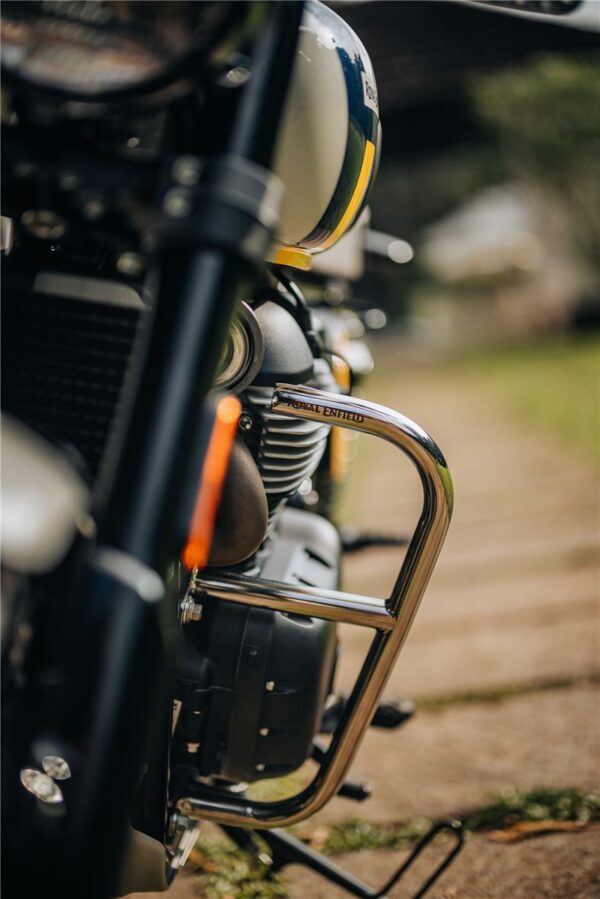 Silver Large Engine Guards - Image 2