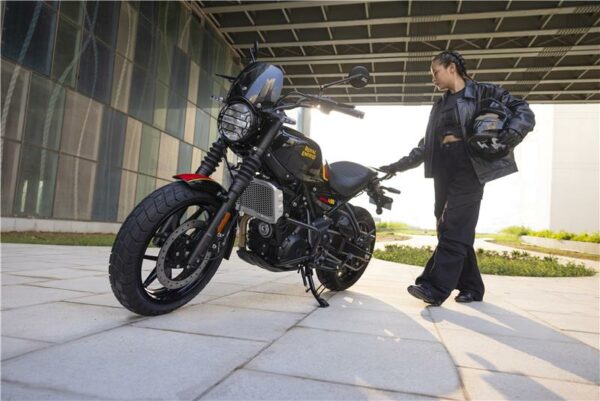 Tinted Flyscreen - Image 2